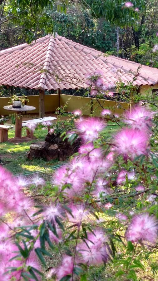 Govinda Moeda Pousada Ngoại thất bức ảnh
