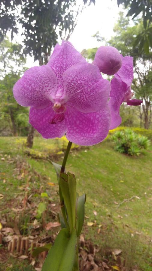 Govinda Moeda Pousada Ngoại thất bức ảnh